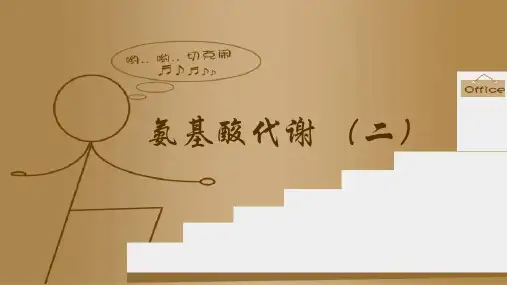 氨基酸代谢