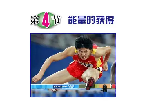 浙教版九年级科学(生物)上册4.4《能量的获得》精品课件