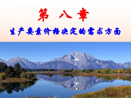 微观经济学第8章生产要素