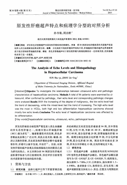 原发性肝癌超声特点和病理学分型的对照分析