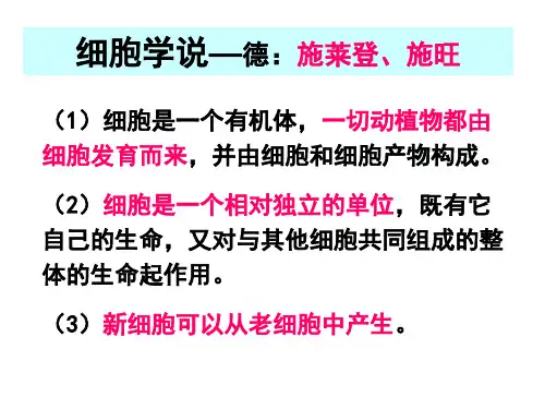 动植物细胞的基本结构