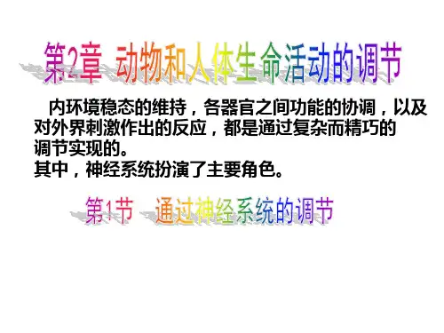 高中生物神经系统的调节