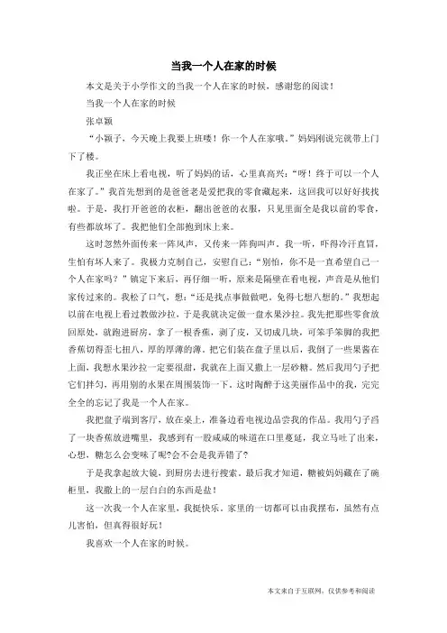 当我一个人在家的时候_小学作文
