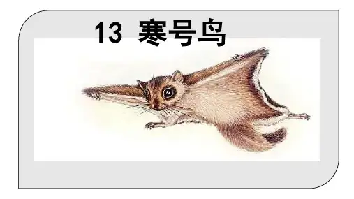 二年级上册语文《寒号鸟》ppt课件