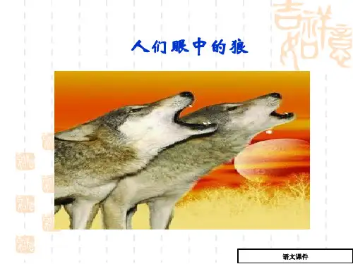 七年级上-20、狼-课件