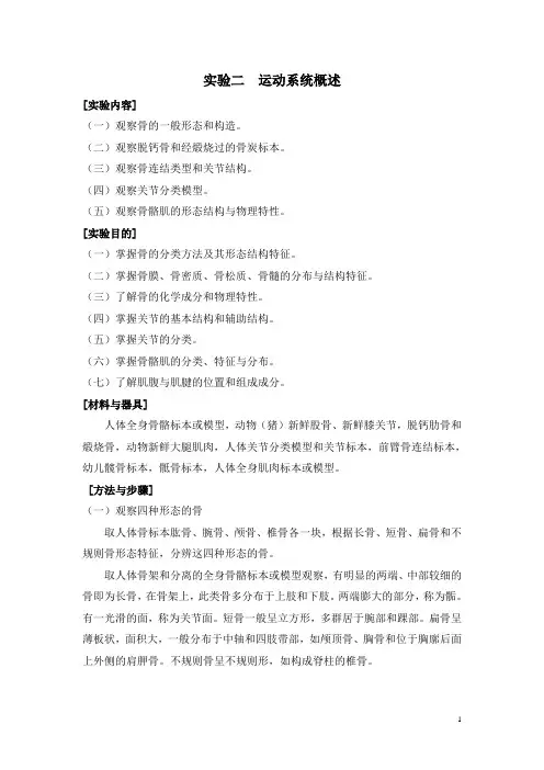 人体解剖学   实验二  运动系统
