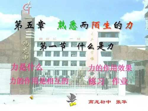 什么是力