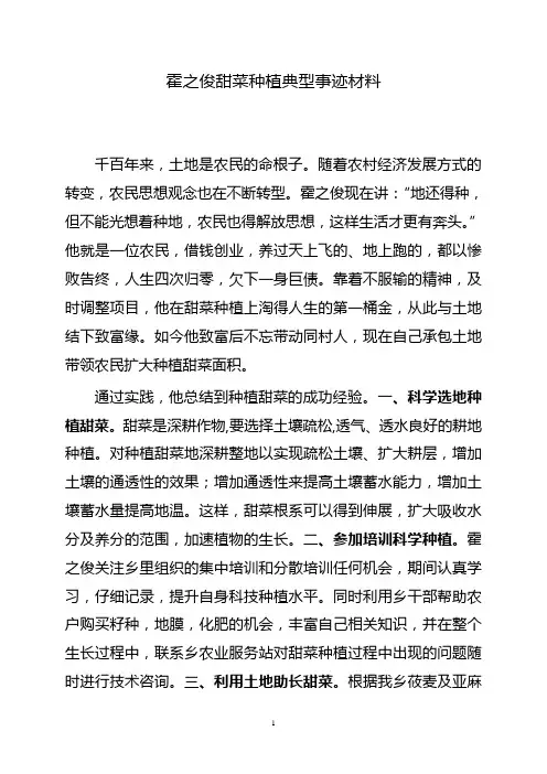 甜菜种植典型事迹材料