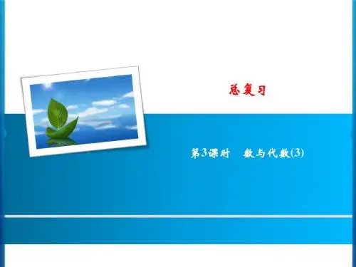 北师大版二年级数学上册 总复习 第3课时 数与代数(3)