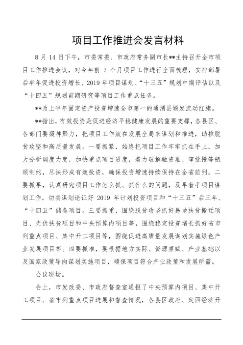 项目工作推进会发言材料