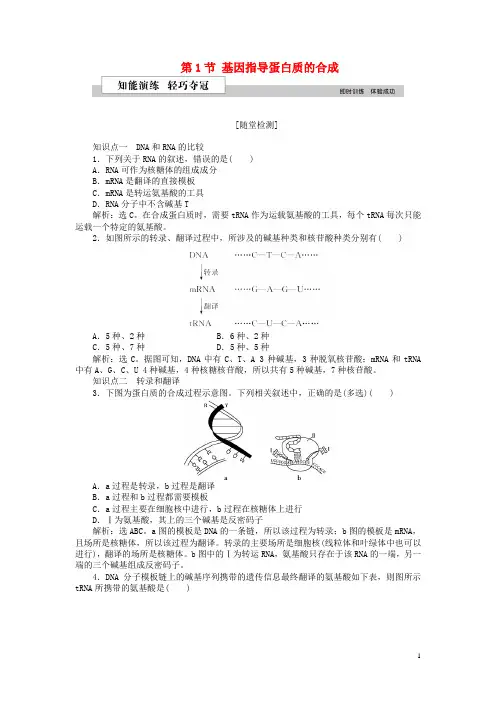 优化方案2016版高中生物第四章基因的表达第1节基因指导蛋白质的合成知能演练轻巧夺冠新人教版必修2