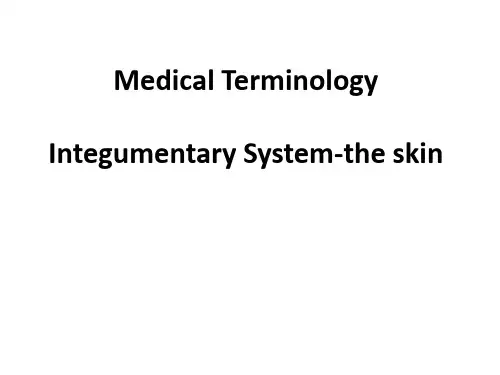 医学英语-皮肤Medical Terminology
