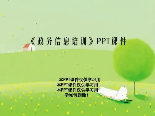 《政务信息培训》PPT课件