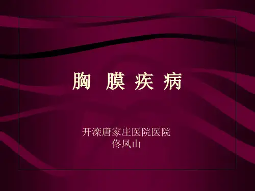 爱爱医资源胸腔积液与气胸精品PPT课件