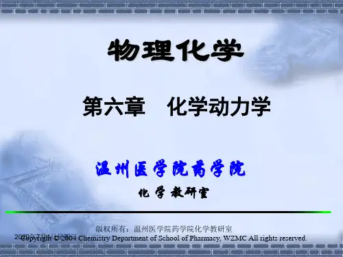 物理化学第六章