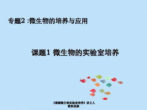 《课题微生物实验室培养》讲义人教版选修