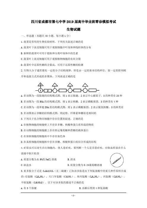 四川省成都市第七中学2019届高中毕业班零诊模拟考试生物试题及答案(word版)