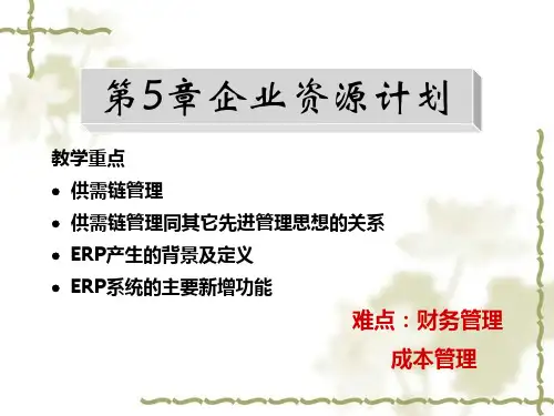 企业资源计划5