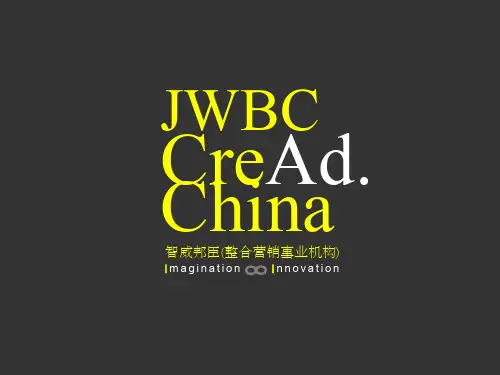 项目整体大园区策略推广