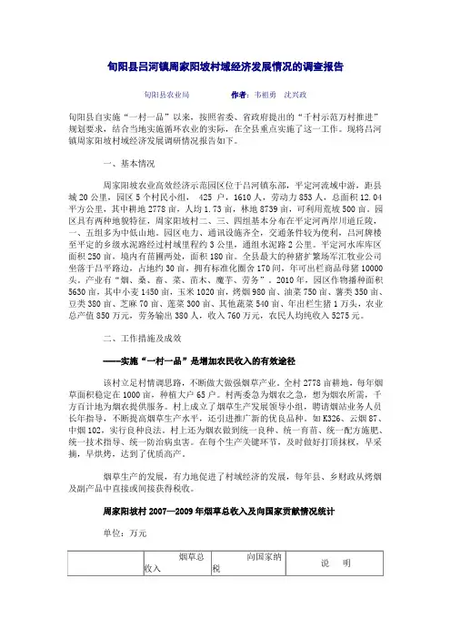 旬阳县吕河镇周家阳坡村域经济发展情况的调查报告