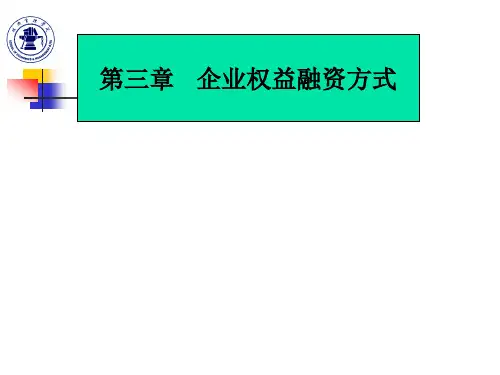 第三章企业权益融资分析