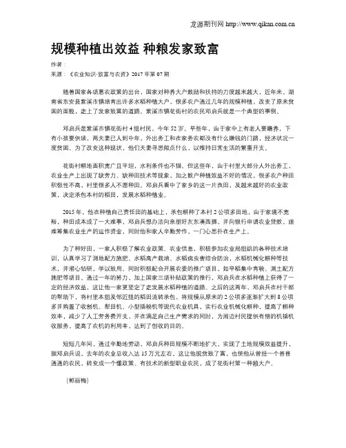 规模种植出效益 种粮发家致富