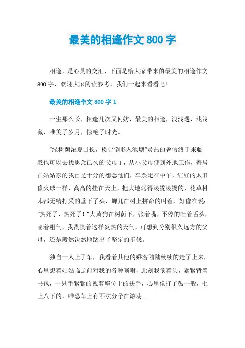 最美的相逢作文800字