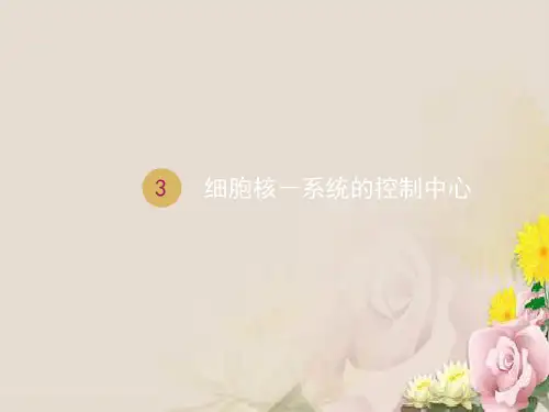 人教版必修1课件：第3章 第3节 细胞核(共20张PPT)