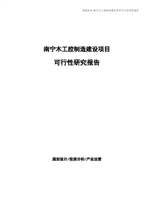 南宁木工胶制造建设项目可行性研究报告