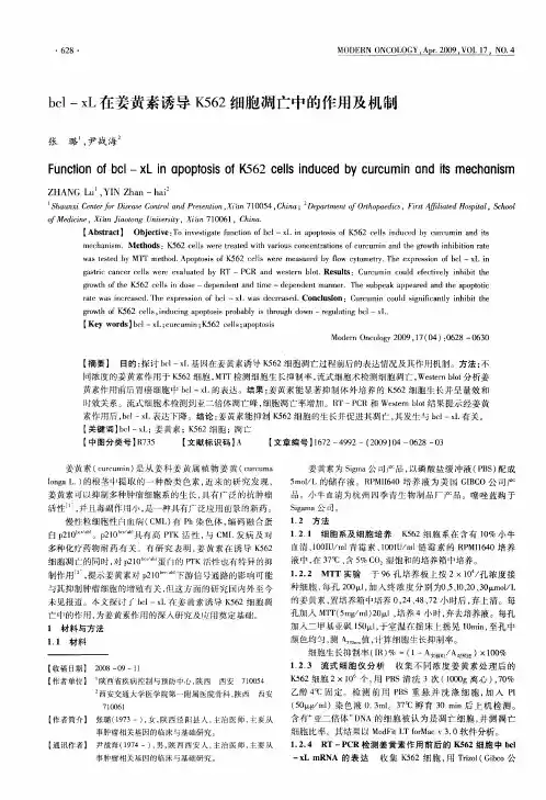 bcl—xL在姜黄素诱导K562细胞凋亡中的作用及机制