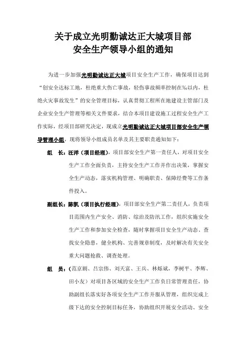 关于成立项目部安全生产领导小组的通知