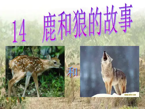 14课《鹿和狼的故事》ppt