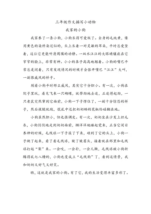 三年级作文描写小动物