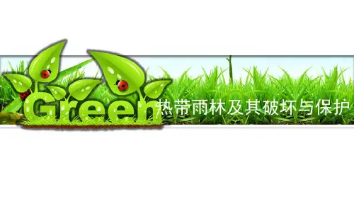热带雨林及其破坏与保护
