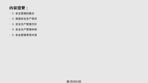 安全管理概述PPT课件