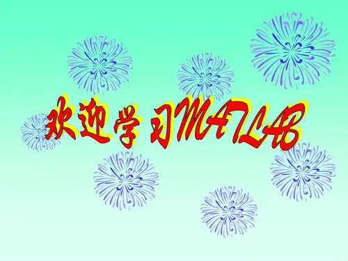 Matlab第4.5讲-wp
