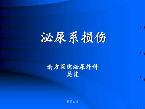 泌尿系损伤