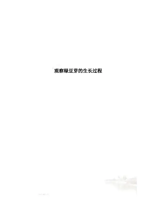 观察绿豆芽的生长过程