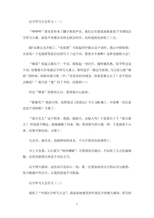 精选汉字听写大会作文
