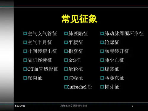 胸部疾病常见影像学征象培训课件