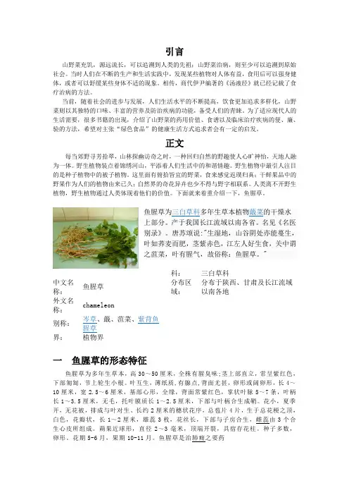 山野菜正文