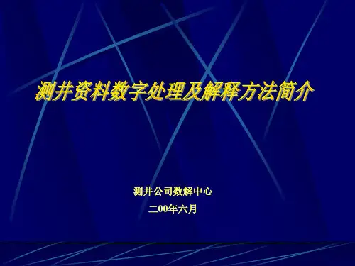 测井常规处理解释技术