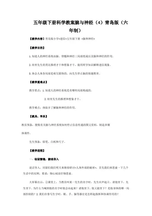 五年级下册科学教案脑与神经(4)青岛版(六年制)