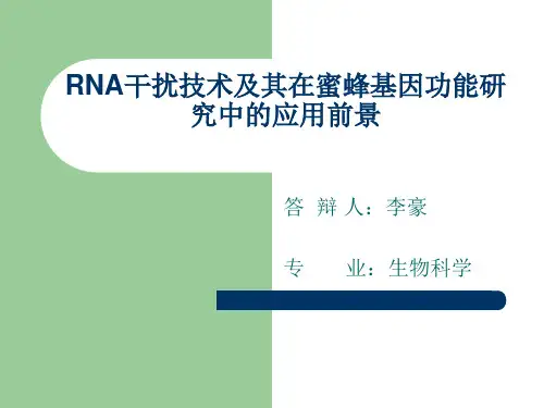 论文答辩