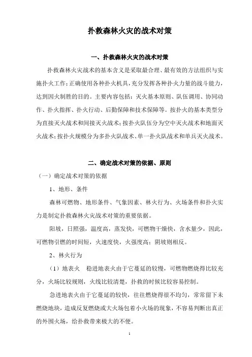 扑救森林火灾的战术对策