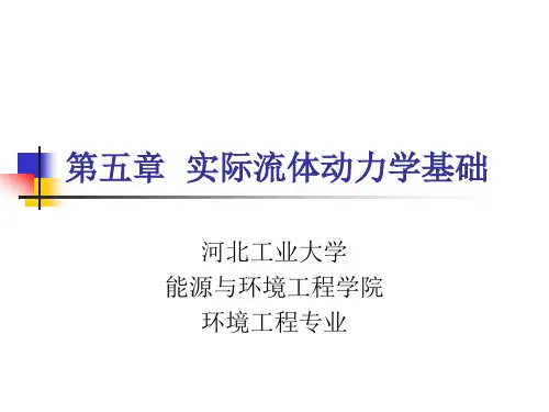 第五章 实际流体动力学基础