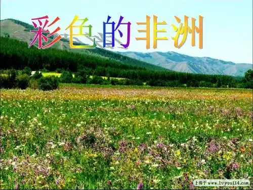彩色的非洲_公开课