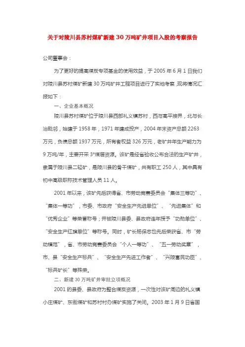 关于对陵川县苏村煤矿新建30万吨矿井项目入股的考察报告