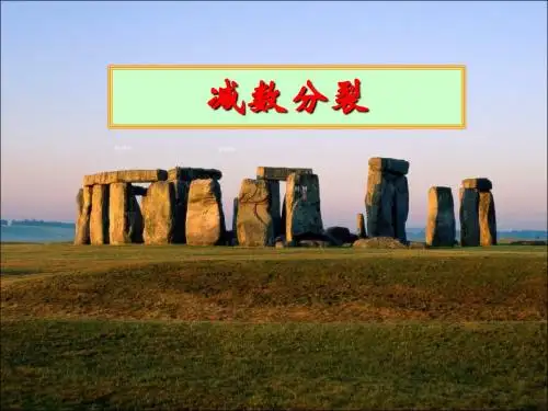 甘肃省永昌县第一中学高三生物复习课件：有丝分裂与减数分裂对比