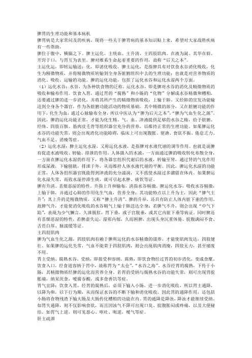 脾胃的生理功能